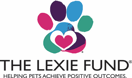 Lexi fund