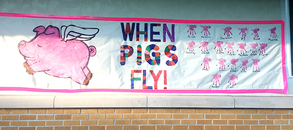 Pigs fly