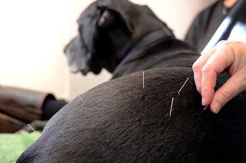 Acupuncture